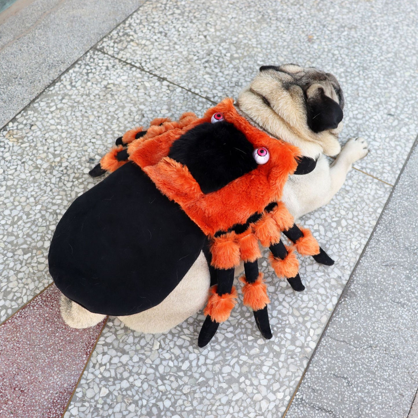 Halloween Spider Pet Costume Funny Dog Cat Clothes Party Dress Up Outfit