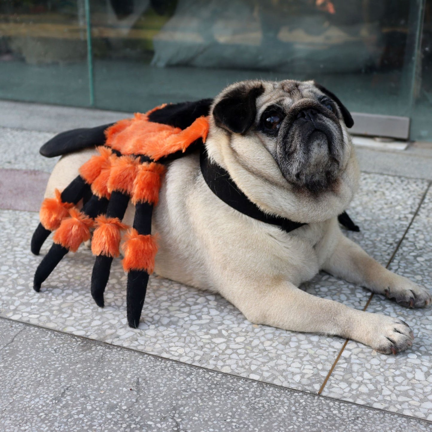 Halloween Spider Pet Costume Funny Dog Cat Clothes Party Dress Up Outfit